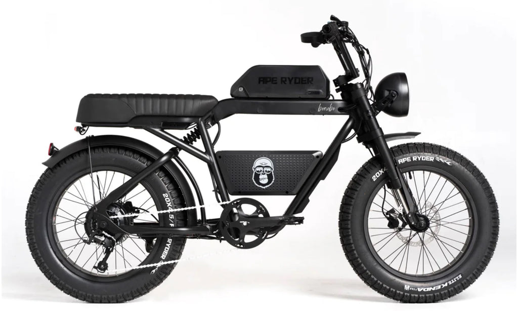 Urban ryder 2024 electric bike