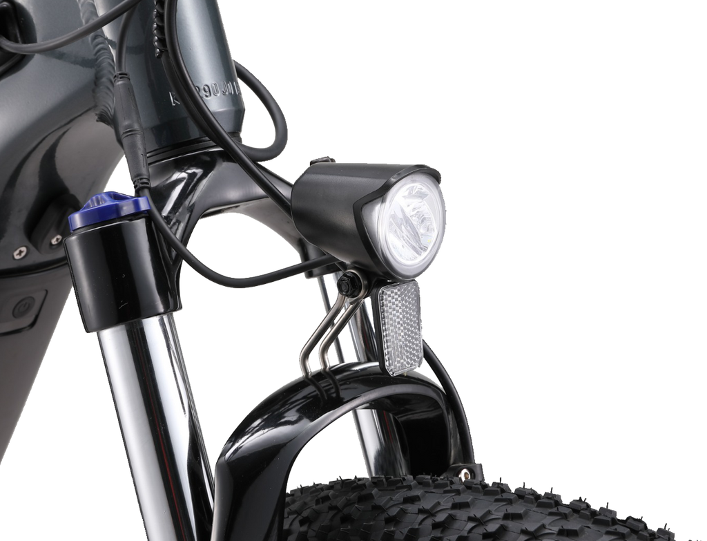 APE RYDER BUFFALO PRO - ELECTRIC MOUNTAIN BIKE