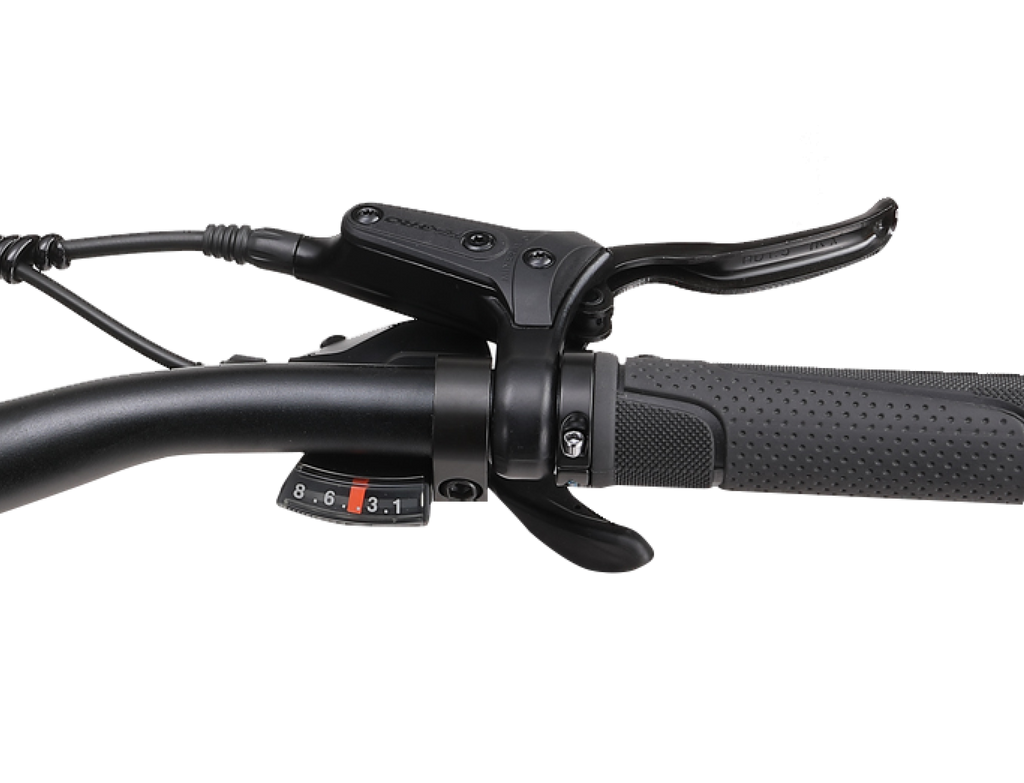 APE RYDER BUFFALO PRO - ELECTRIC MOUNTAIN BIKE