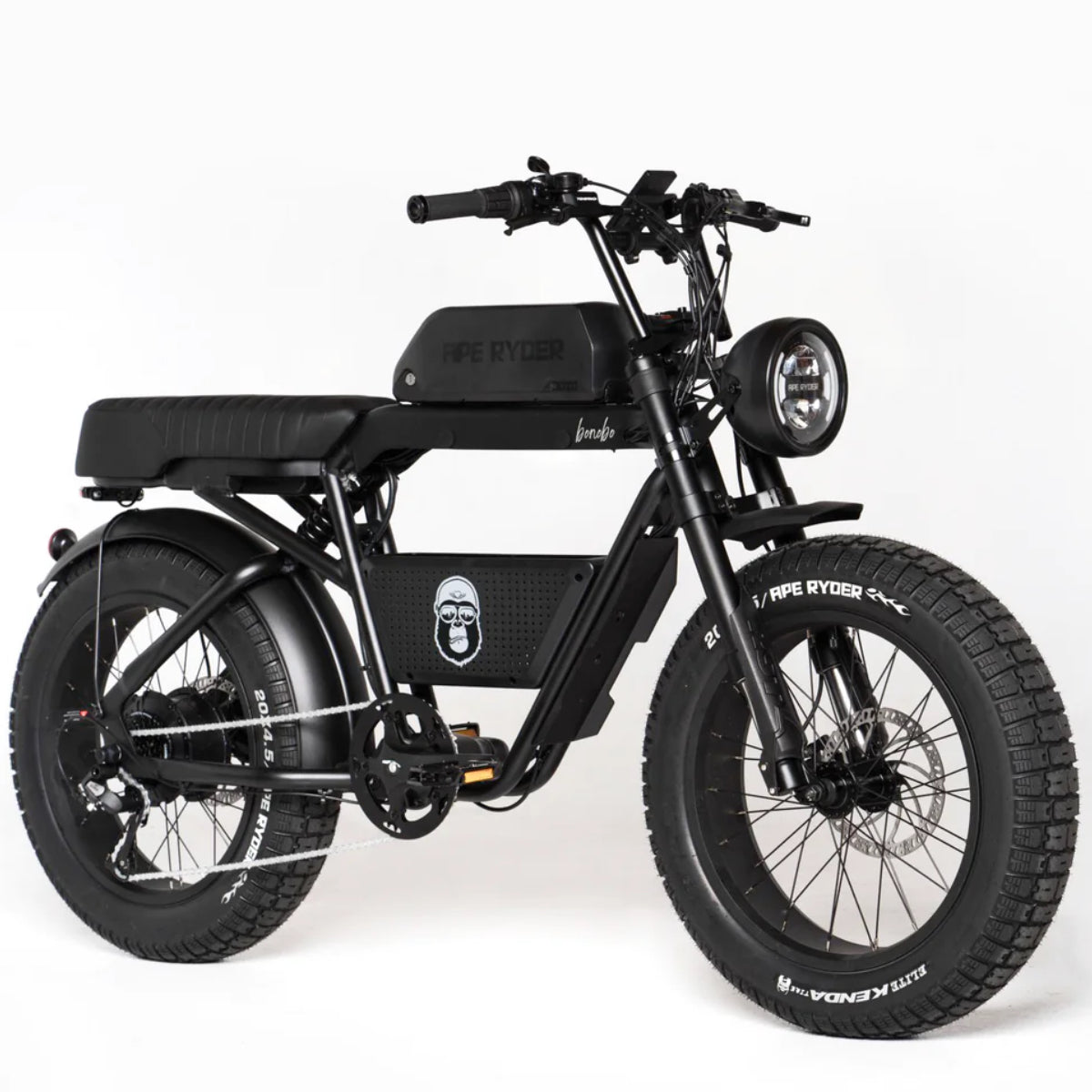 ape ryder bonobo electric bike, black colour with fat tyres